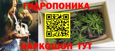 a pvp Комсомольск-на-Амуре