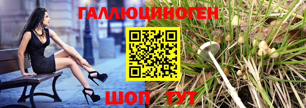 Псилоцибиновые грибы GOLDEN TEACHER Кисловодск