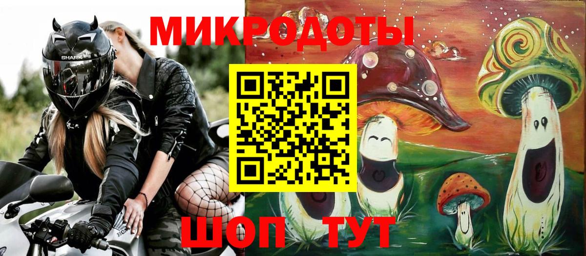 Псилоцибиновые грибы Cubensis  Вход с VPN  Кисловодск 